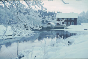 Vinter_old